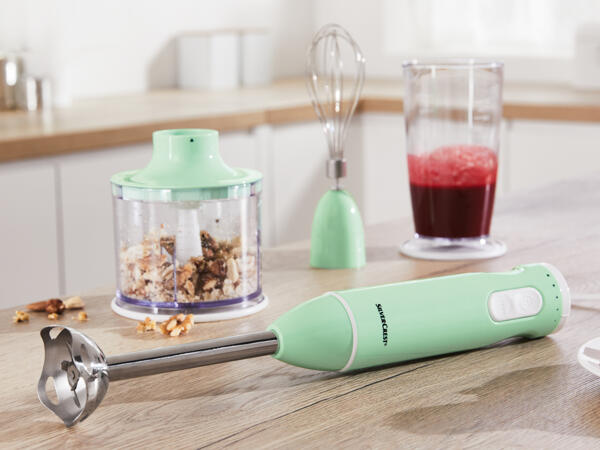 Stabmixer-Set