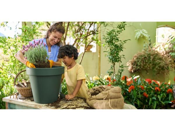 Plant pot 23L