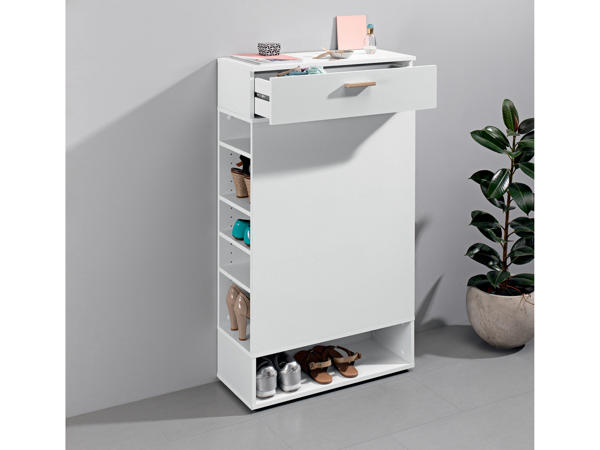Shoe Storage Cabinet