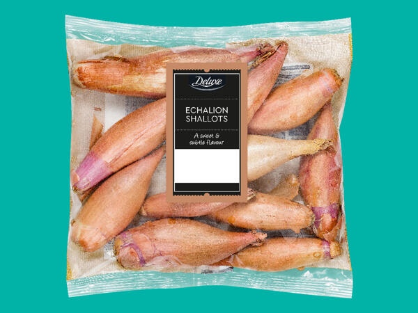 Deluxe Echalion Shallots