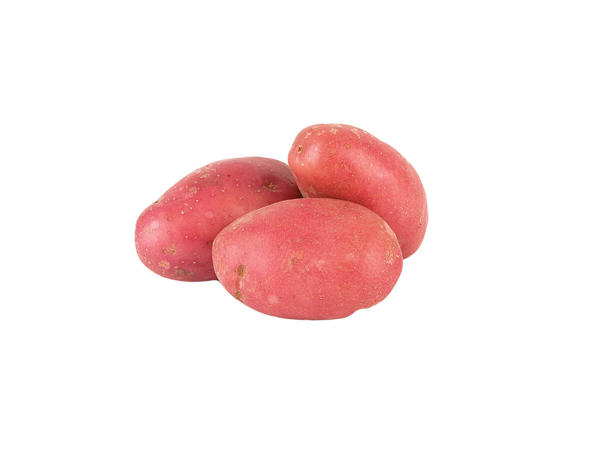 Organic Rooster Potatoes