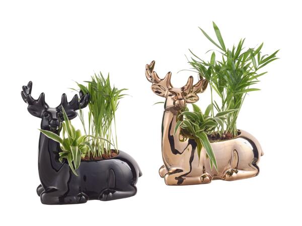 Sammenplantning i keramik