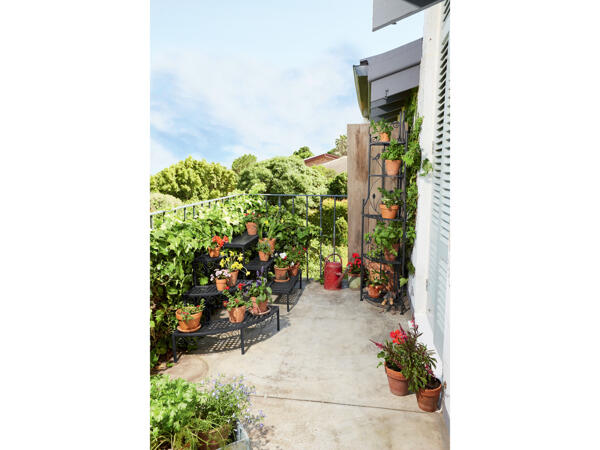 Corner Plant Stand