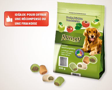 Biscuits pour chiens aux fruits ROMEO