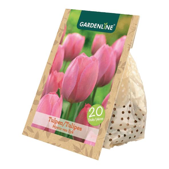 GARDENLINE(R) Tulpenzwiebeln, 20 St.