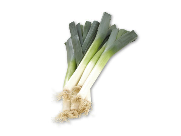 Danske porrer