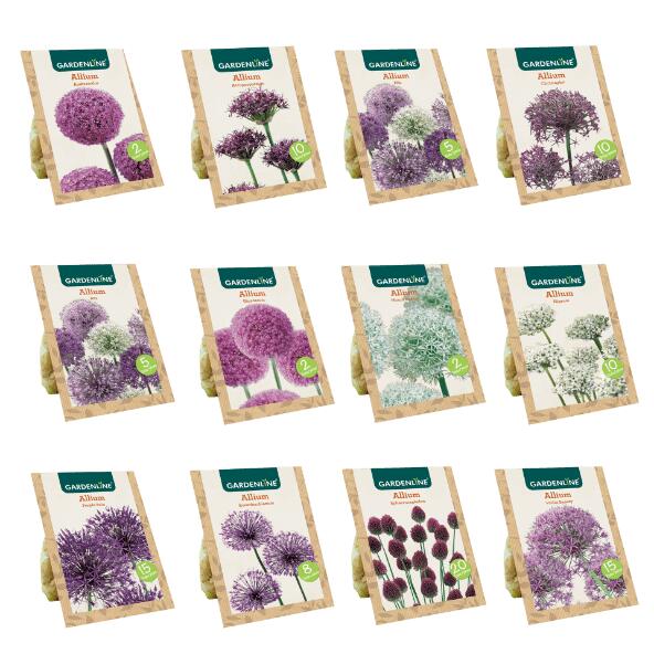 Bulbes à fleurs ornementales