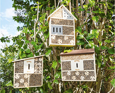 Bee and Insect House