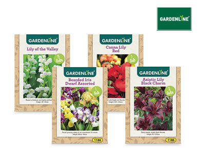 Packet Bulbs