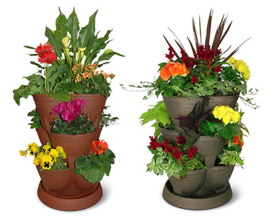 Gardenline Multi-Tier Planter Assortment