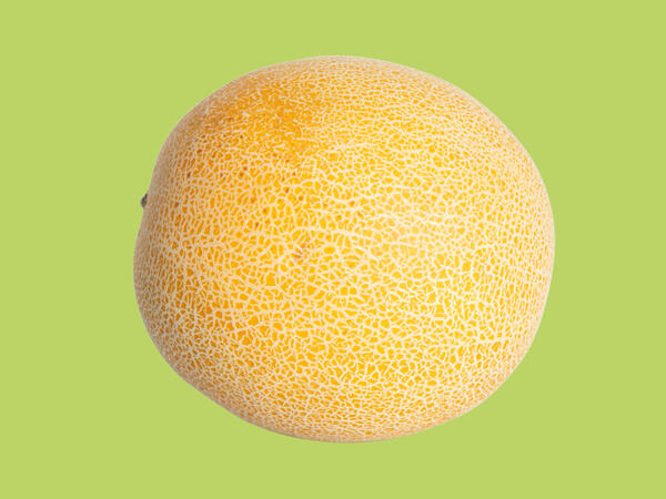 Galia Melon
