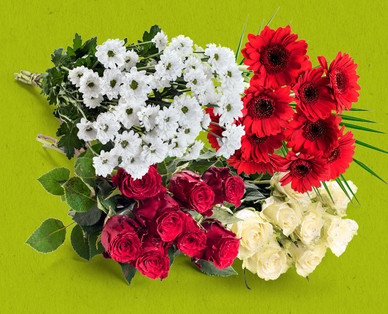 Weihnachtliche Schnittblumen