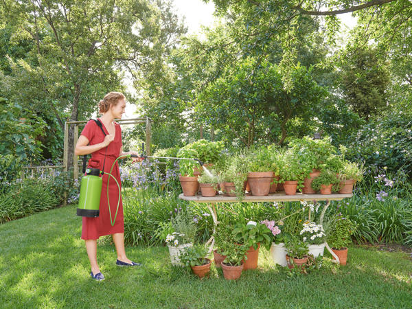 Garden Pressure Sprayer