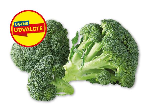 Broccoli