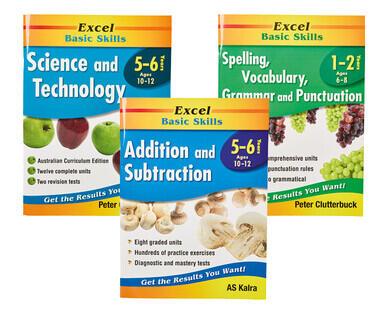 Excel Basic Skills Workbooks