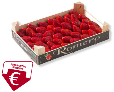 Erdbeeren