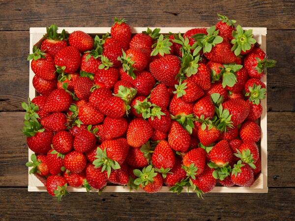 Fragole