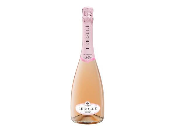 LEBOLLÉ PINOT NOIR 2023