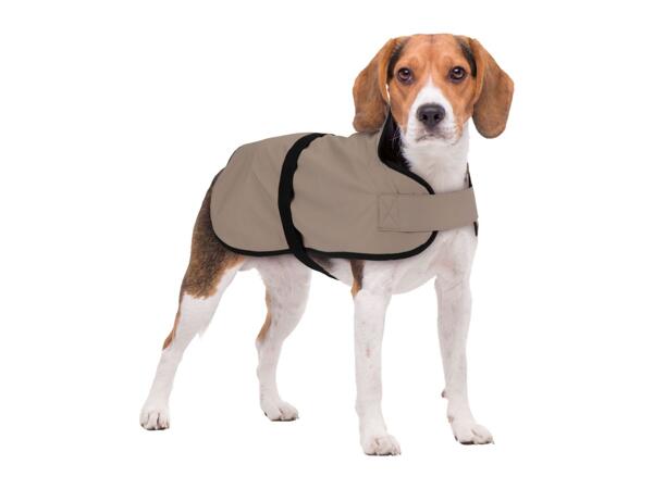 Zoofari Beige Dog Coat