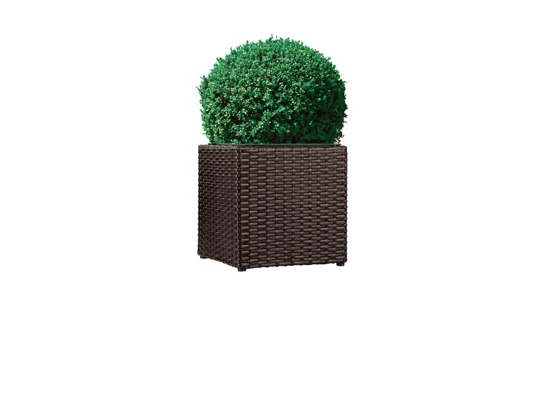 Bac à plantes en osier