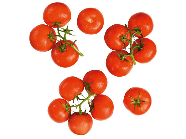 Strauchtomaten