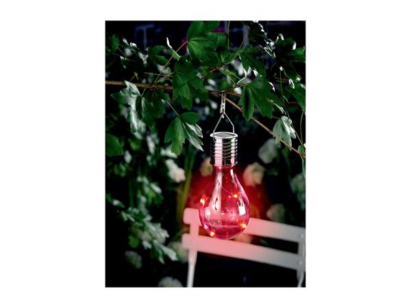Livarno Home Decorative Solar Light