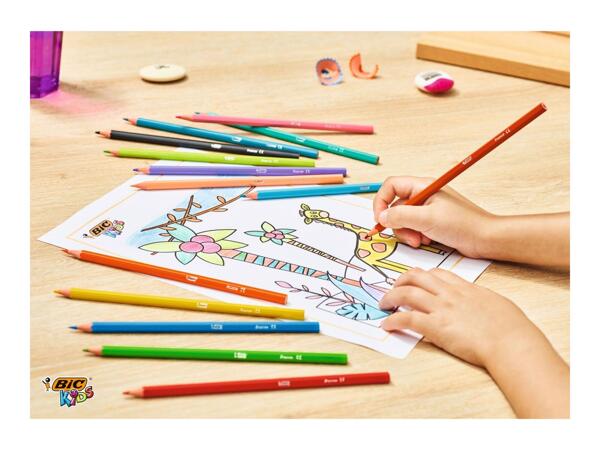 BIC Stationery Assortment