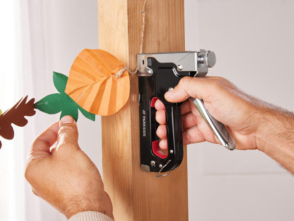 Staple Gun Set
