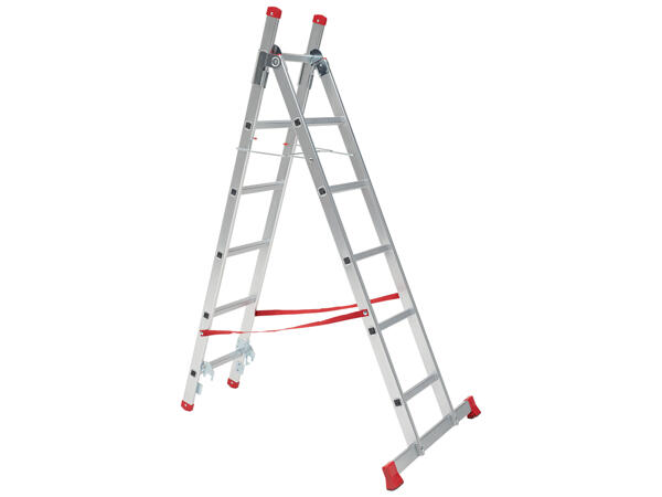 Multi-Purpose Ladder