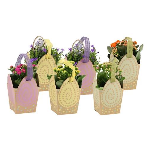 GARDENLINE Mix di piante fiorite
