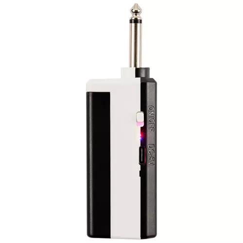 Dual Microphone with Transmitter