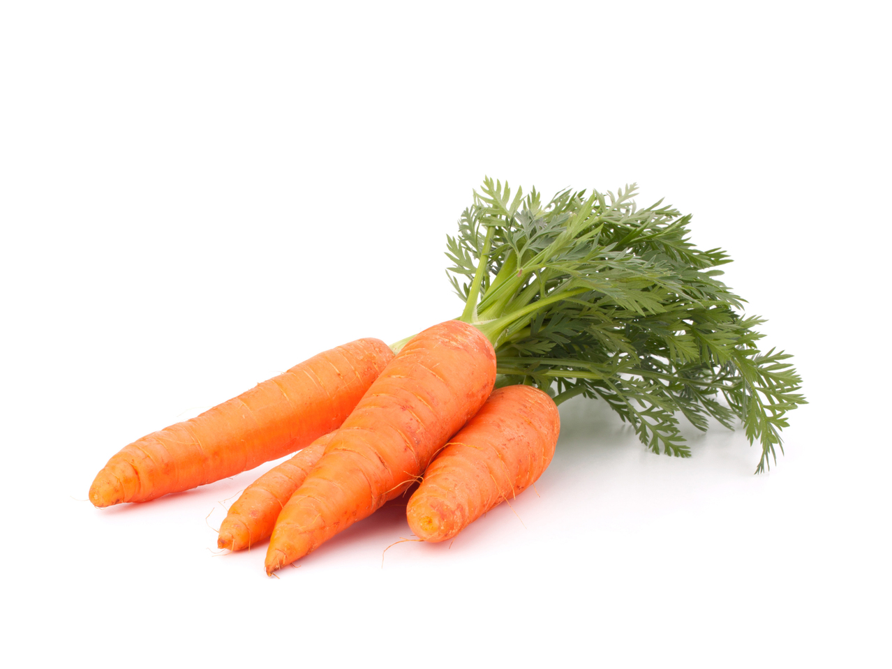 Carottes bio
