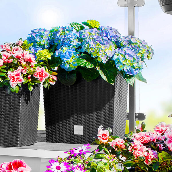 Blumentopf