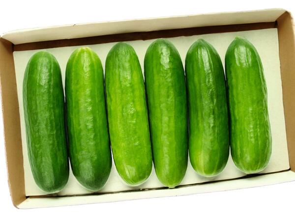 Snack Gurken
