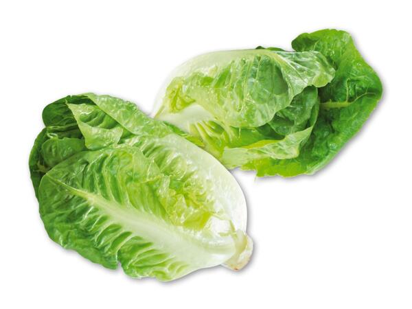 Mini-romainesalat