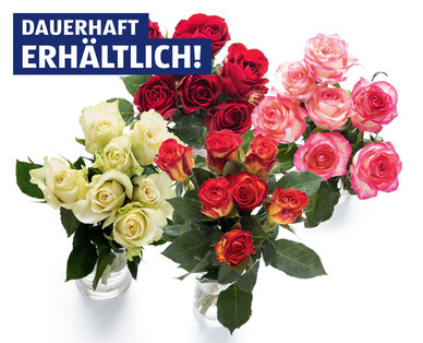 Exklusive Rosen