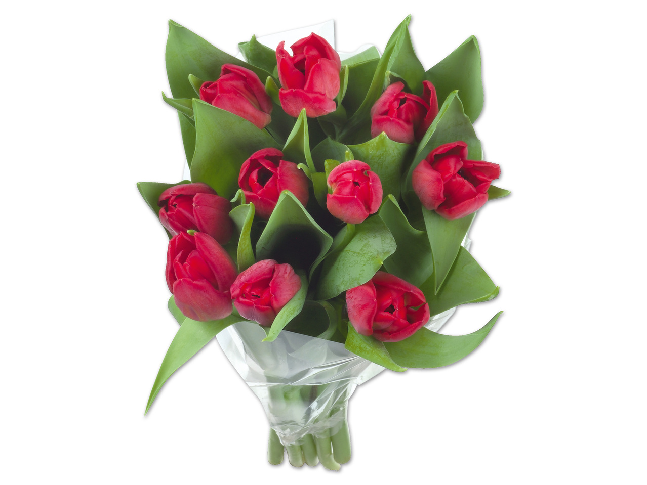Tulpenstrauß