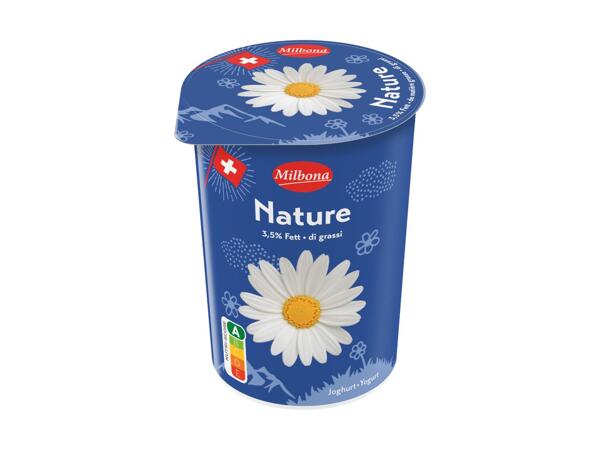 Yogourt nature 3,5%
