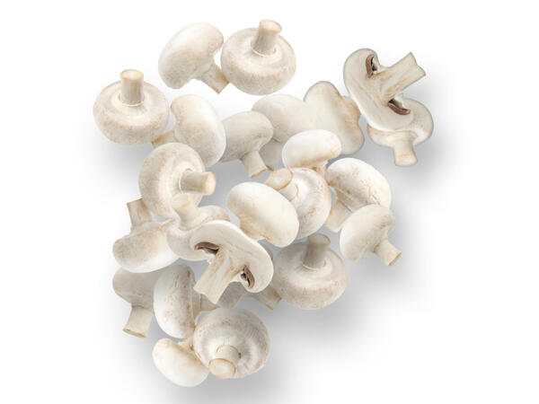 Champignons weiß