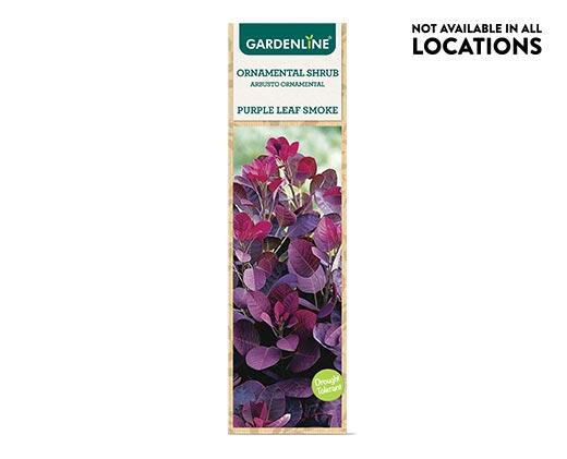 Gardenline Ornamental Shrub Assorted Varieties