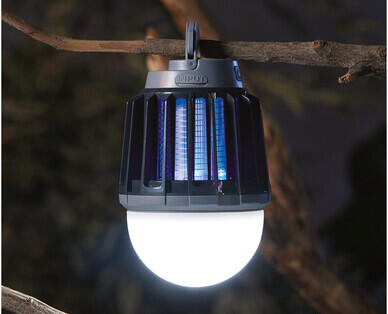 Light with Bug Zapper