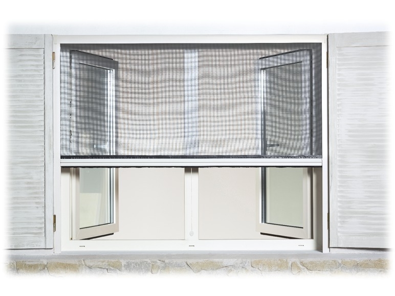 Insect Roller Blind