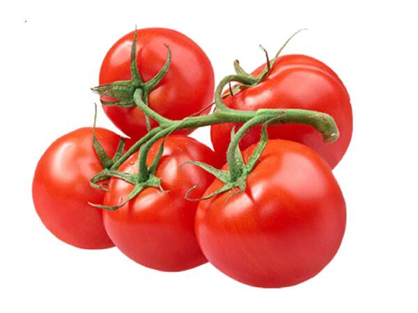 Vine Tomatoes