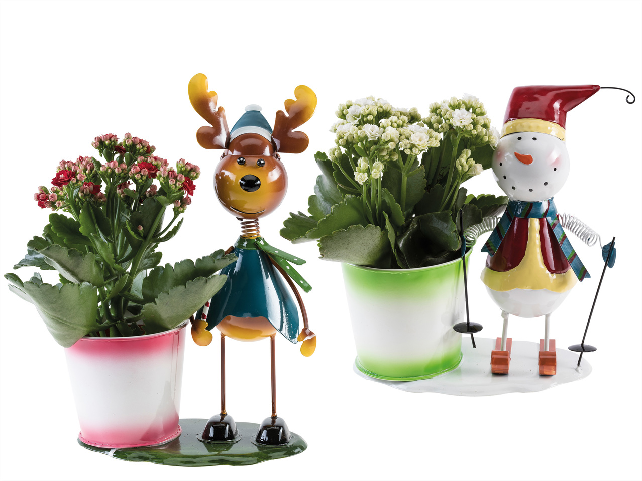 Winterfigur mit Kalanchoe
