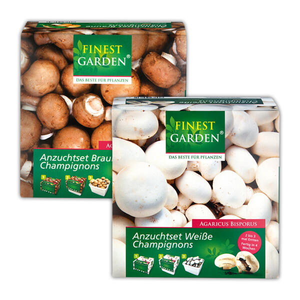 Champignon-Anzuchtset
