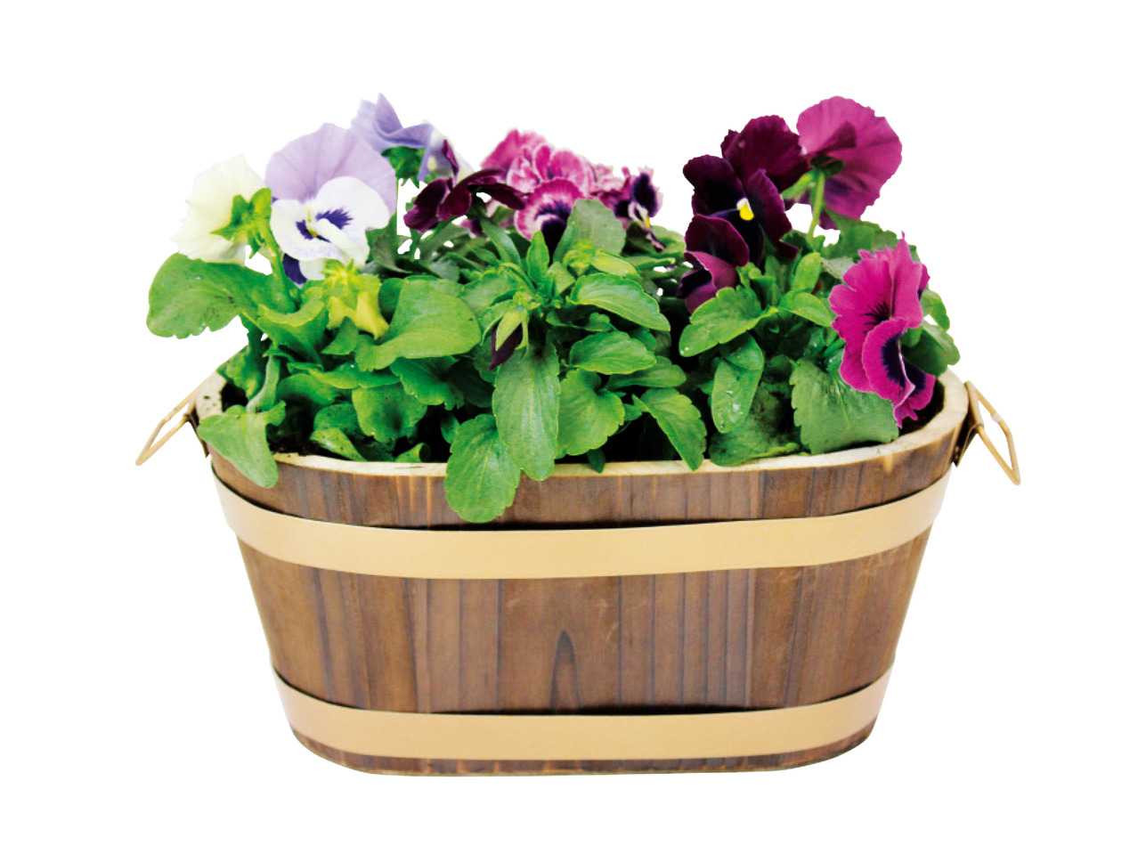 Pansies in Wooden Barrel1