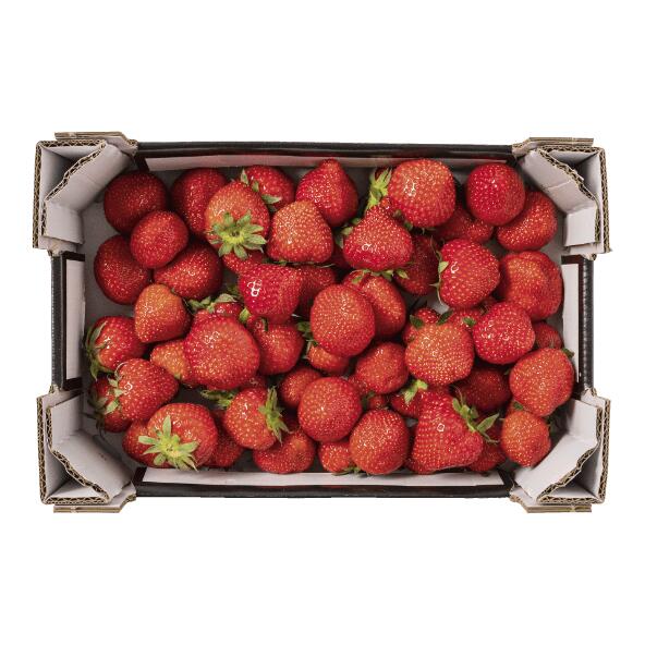 Aardbeien
