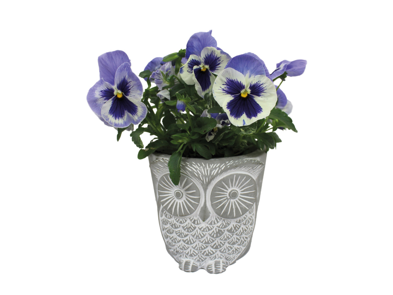 Owl Planter1