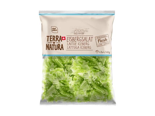 Laitue iceberg Terra Natura