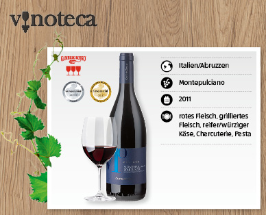 CANTINA TOLLO Montepulciano d'Abruzzo DOP